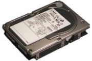 Seagate Cheetah 10K.6 36 37GB (ST336607LW)