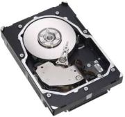 Seagate Cheetah 15K.5 73GB (ST373455LC)