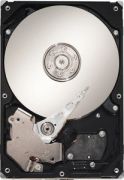Seagate Barracuda 7200.11 750GB (ST3750330AS) Seagate Barracuda 7200.11 750GB (ST3750330AS)