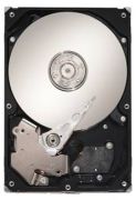 Seagate Barracuda 7200 2TB (ST2000DM001)