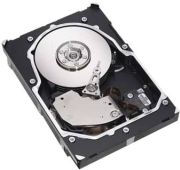 Seagate Barracuda ES.2 1TB (ST31000640SS) Seagate Barracuda ES.2 1TB (ST31000640SS)
