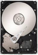 Seagate Barracuda LP 5900.12 1TB (ST31000520AS) Seagate Barracuda LP 5900.12 1TB (ST31000520AS)