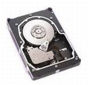 Seagate Cheetah 10K.6 147GB (ST3146807LC)