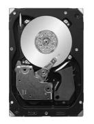 Seagate Cheetah 15K.7 300GB (ST3300657SS)