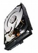 Seagate Constellation CS 7200 1TB (ST1000NC000)