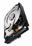 Seagate Constellation CS 7200 2TB (ST2000NC001)