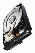 Seagate Constellation CS 7200 3TB (ST3000NC002) Seagate Constellation CS 7200 3TB (ST3000NC002)