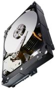 Seagate Constellation ES.3 1TB (ST1000NM0023)