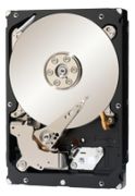 Seagate Constellation ES.3 SED 1TB (ST1000NM0053)