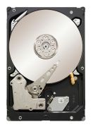 Seagate Constellation ES SATA 2TB (ST2000NM0011)