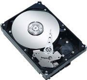 Seagate Barracuda ES.2 500GB (ST3500320NS) Seagate Barracuda ES.2 500GB (ST3500320NS)