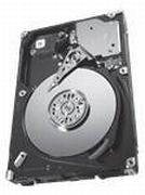 Seagate Savvio 15K.3 146GB (ST9146853SS)
