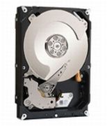 Seagate Terascale 4TB (ST4000NC000) Seagate Terascale 4TB (ST4000NC000)