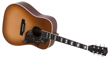 Sigma Guitars DM-SG5