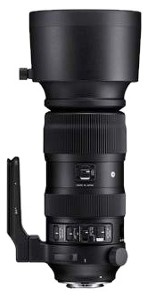 Sigma Sports 60-600 mm F4,5-6,3 DG OS HSM