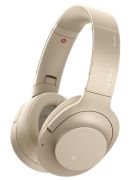 Sony WH-H900N