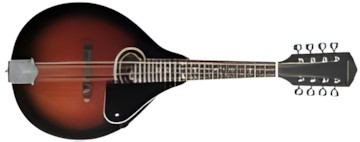 Stagg M30