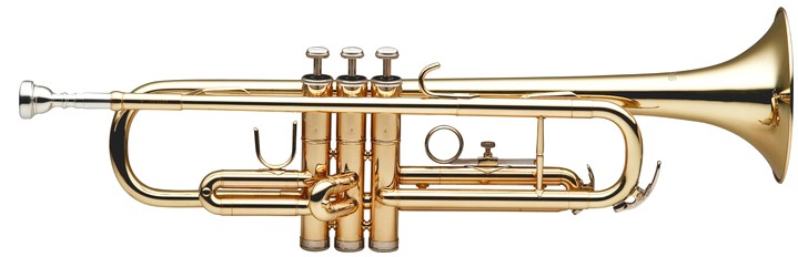 Stagg WS-TR215S