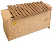 Studio 49 BXG 1000