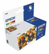 Epson T029401