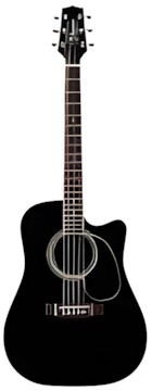Takamine EF341SC