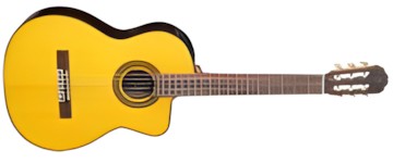 Takamine GC5CE