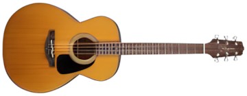 Takamine GN30
