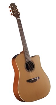 Takamine P3DC