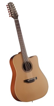 Takamine P3DC-12