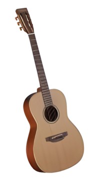 Takamine P3NY