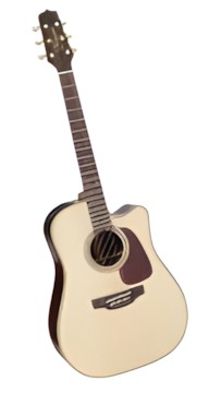 Takamine P5DC