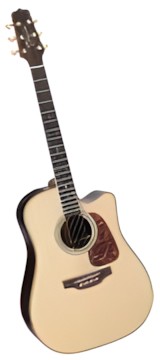Takamine P7DC