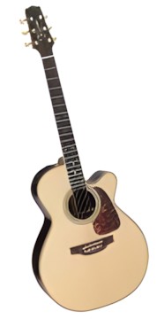 Takamine P7NC Takamine P7NC