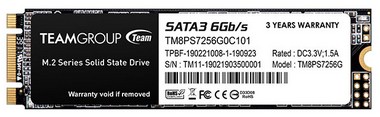 Team Group MS30 M.2 SSD 256GB (TM8PS7256G0C101)