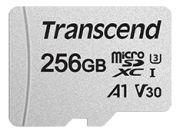 Transcend 300S microSDXC 256GB (TS256GUSD300S-A) Transcend 300S microSDXC 256GB (TS256GUSD300S-A)