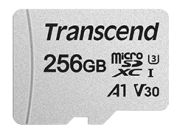 Transcend 300S microSDXC 64GB (TS64GUSD300S-A) Transcend 300S microSDXC 64GB (TS64GUSD300S-A)