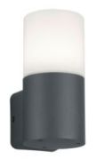 Trio Hoosic Wandleuchte (224060142)