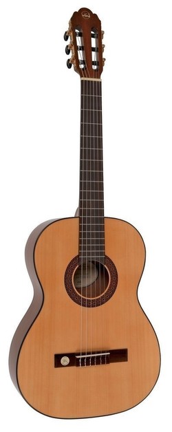 VGS Pro Arte GC-100 A