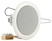 Visaton DL-10 (100 V)