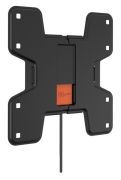 Vogels Wall 3105