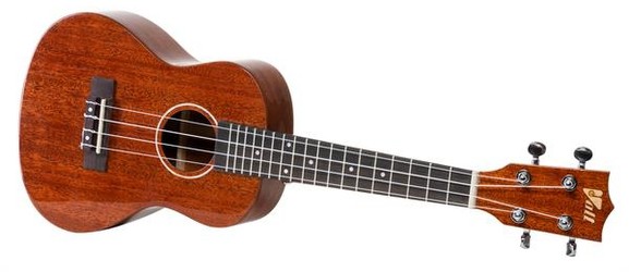 Voggenreiter VOLT Ukulele Riva Concerto/24"