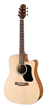 Walden D350CE