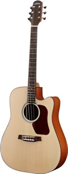 Walden D550CE
