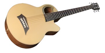 Warwick Alien Deluxe 6