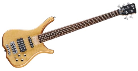 Warwick RockBass Infinity 5
