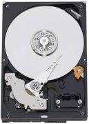 Western Digital Caviar Green 750GB (WD7500AACS)