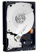 Western Digital Caviar Black 2TB (WD2001FASS) Western Digital Caviar Black 2TB (WD2001FASS)