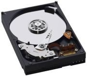 Western Digital AV 160GB (WD1600AVJB) Western Digital AV 160GB (WD1600AVJB)