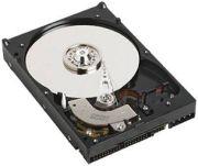 Western Digital Caviar Blue 400GB (WD4000AAJB) Western Digital Caviar Blue 400GB (WD4000AAJB)