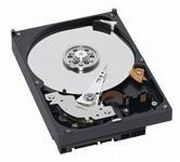 Western Digital AV 500GB (WD5000AVKX) Western Digital AV 500GB (WD5000AVKX)